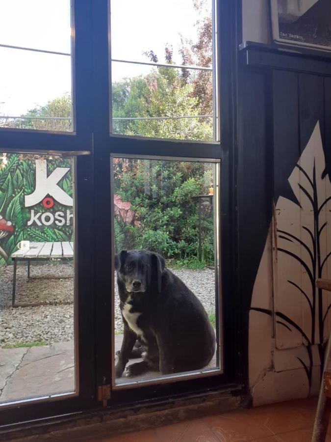 Kosh Hostel San Carlos de Bariloche Exterior foto